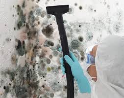 Best Mold Removal for HVAC Installations in Port Lavaca, TX